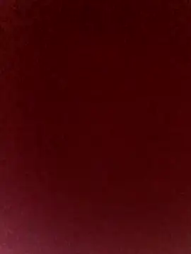 axelongshaft69 online show from May 13, 2026, 7:55 pm