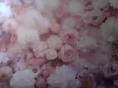 camiliaskye online show from December 31, 2024, 4:49 am