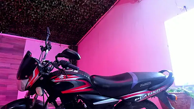 AkazaBoy  online show from December 27, 2024, 4:15 am