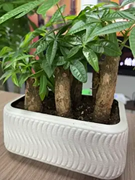 wiktor1980 online show from April 28, 2026, 6:51 am