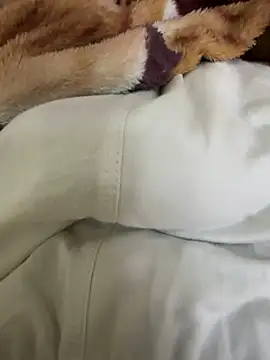 hamed-697 online show from December 4, 2024, 9:57 pm