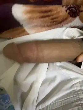 hamed-697 online show from December 8, 2024, 8:25 pm