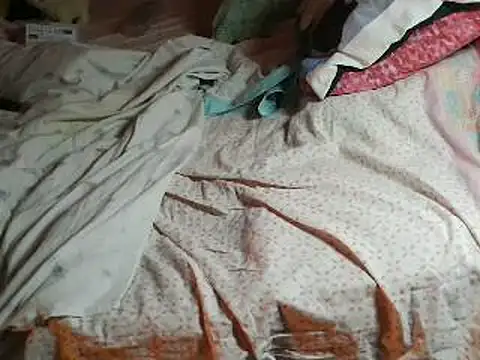 VeneRed online show from April 11, 2026, 7:29 pm