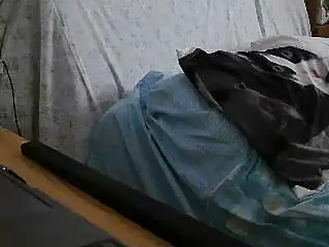 Snapshot of VeneRed chatting on July 17, 2026, 12:01 pm VeneRed online show from July 17, 2026, 12:01 pm