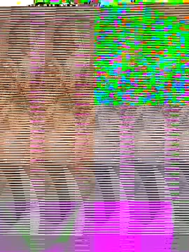 Indianhyna online show from February 15, 2025, 6:33 am