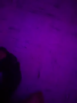 Argento14 online show from November 3, 2025, 5:31 am