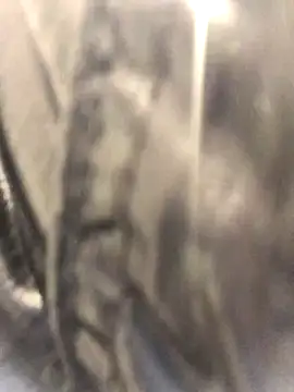 Diamond Bunny  online show from September 24, 2025, 3:04 pm