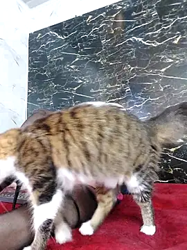 crislingery dolli online show from October 12, 2025, 1:43 pm