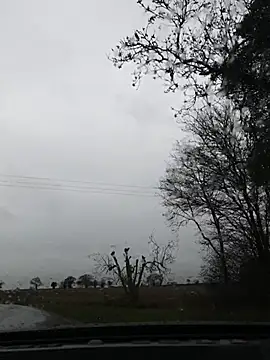 nataliecdlive online show from November 22, 2025, 11:09 am