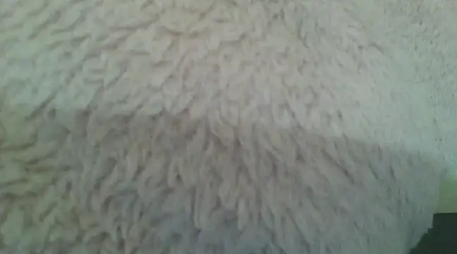 Snapshot of samanta0033 chatting on December 2, 2024, 9:17 pm samanta0033 online show from December 2, 2024, 9:17 pm