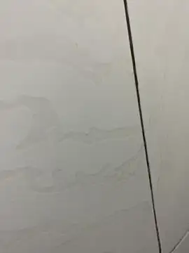 picatorta19 online show from December 17, 2025, 6:25 pm