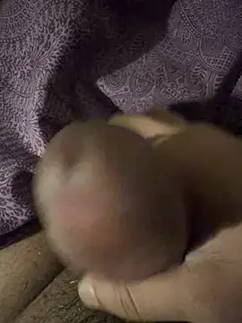 Snapshot of BigAddress0 chatting on February 23, 2026, 2:42 am BigAddress0 online show from February 23, 2026, 2:42 am