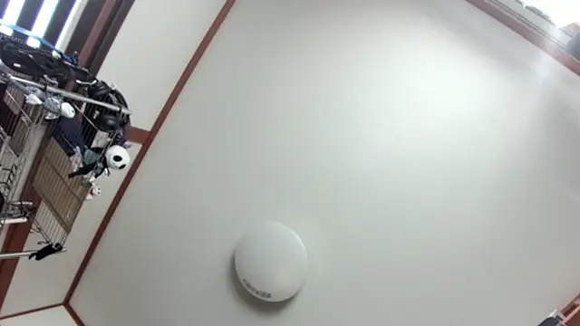 Snapshot of tuki_fu chatting on December 8, 2024, 3:10 am tuki fu online show from December 8, 2024, 3:10 am