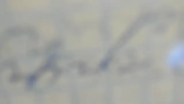 Snapshot of elis_gabbi chatting on September 9, 2025, 12:59 pm elis gabbi online show from September 9, 2025, 12:59 pm