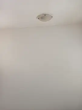 Virgin Pussy Love online show from October 1, 2025, 12:33 pm