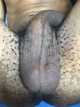 the bigwc online show from December 13, 2024, 1:22 pm