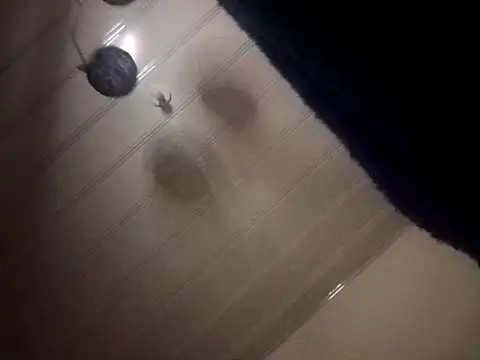 giuliana andrade online show from December 7, 2024, 3:36 am