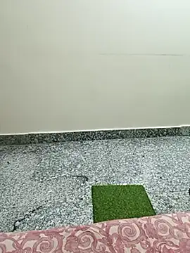 Saroj-Shah online show from March 10, 2026, 5:07 pm