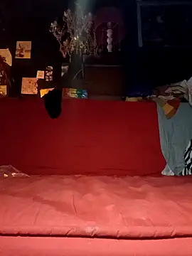 justiacoob online show from November 19, 2025, 6:35 am