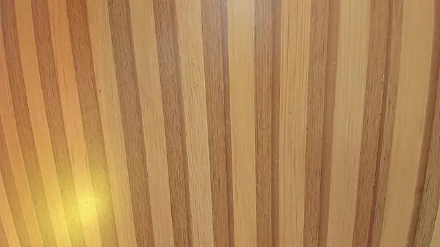 Taylor  cooper online show from February 6, 2026, 6:22 pm