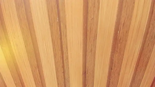 Taylor  cooper online show from February 18, 2026, 6:37 pm