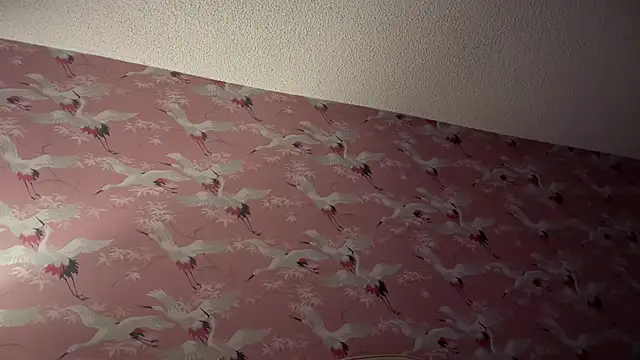 Youngjoshy online show from November 13, 2025, 7:40 am