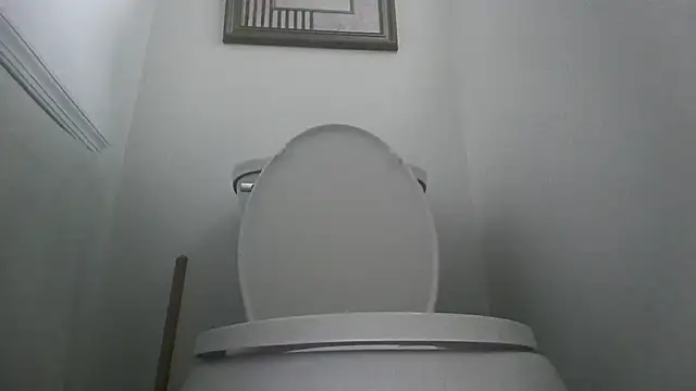 you like my chocolate101 online show from October 11, 2025, 8:40 pm