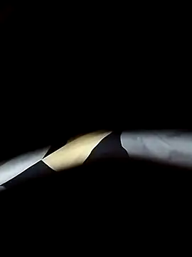 delhiboyooo online show from January 8, 2025, 7:55 am