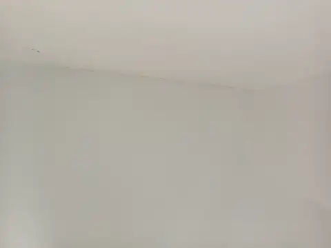 paladerler online show from March 25, 2026, 12:38 am