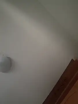 wuyan69 online show from April 24, 2026, 5:32 am