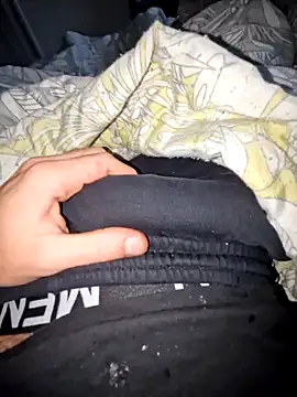 Snapshot of Landryyyyy chatting on December 11, 2024, 8:15 am Landryyyyy online show from December 11, 2024, 8:15 am