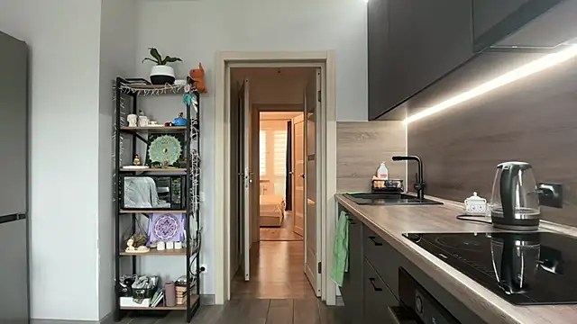 jainesummer online show from November 11, 2025, 7:52 am