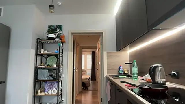 jainesummer online show from December 4, 2025, 8:45 am