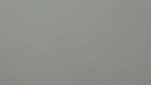 julz 03 online show from March 1, 2025, 4:22 pm