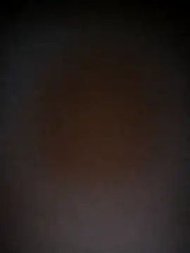 Elaa euphoria online show from December 6, 2024, 7:45 pm