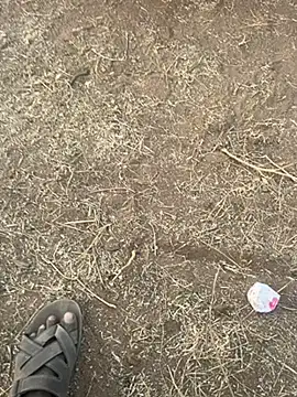 Snapshot of tamil000000 chatting on March 10, 2025, 12:48 pm tamil000000 online show from March 10, 2025, 12:48 pm