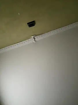 aurora divine online show from November 8, 2025, 1:00 pm