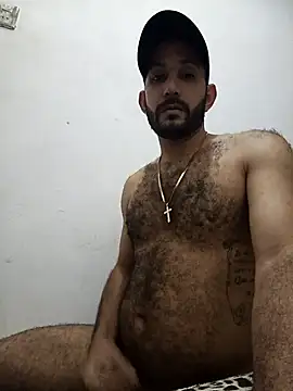 Snapshot of arqui009 chatting on February 3, 2026, 3:15 am arqui009 online show from February 3, 2026, 3:15 am