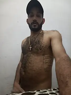 Snapshot of arqui009 chatting on February 5, 2026, 3:11 am arqui009 online show from February 5, 2026, 3:11 am