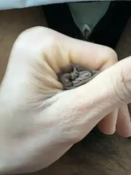 Snapshot of raju120011 chatting on February 26, 2025, 4:35 pm raju120011 online show from February 26, 2025, 4:35 pm