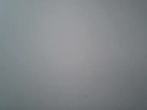 lovedoggy03 online show from January 12, 2026, 1:05 pm