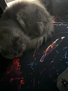 Leo-Cock online show from March 26, 2026, 9:59 am