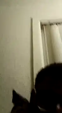 Snapshot of dvaughn3117 chatting on March 6, 2025, 6:52 am dvaughn3117 online show from March 6, 2025, 6:52 am