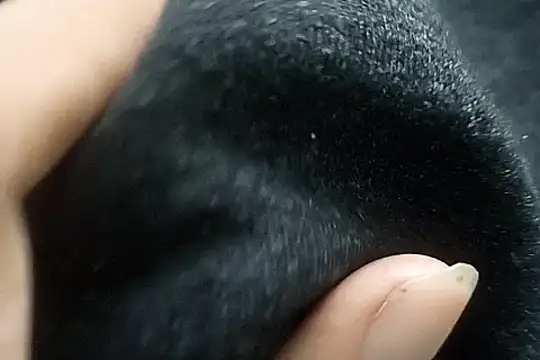 Telugu sollakaya online show from December 2, 2024, 6:43 pm