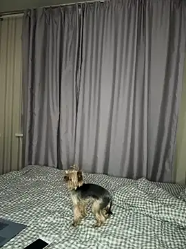 Cute Barbieee  online show from December 6, 2024, 10:08 pm