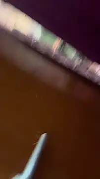 nick  yy online show from February 19, 2026, 5:03 am