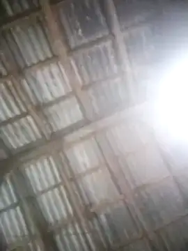 Feli230990 online show from March 5, 2025, 4:13 am