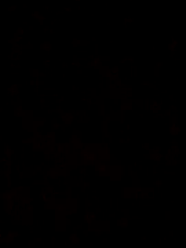 Feli230990 online show from October 8, 2025, 7:50 am