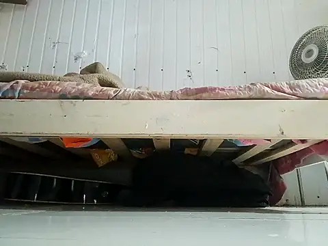 frotasso online show from February 13, 2026, 11:01 pm