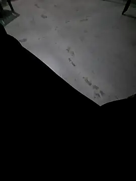 Ritikdesi online show from March 3, 2025, 2:36 am